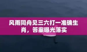 风雨同舟见三六打一准确生肖，答案曝光落实