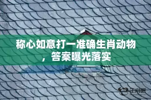 称心如意打一准确生肖动物，答案曝光落实