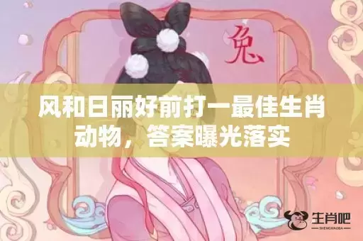 风和日丽好前打一最佳生肖动物，答案曝光落实