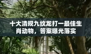 十大清规九纹龙打一最佳生肖动物，答案曝光落实