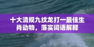 十大清规九纹龙打一最佳生肖动物，落实词语解释