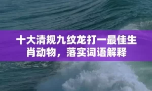 十大清规九纹龙打一最佳生肖动物，落实词语解释