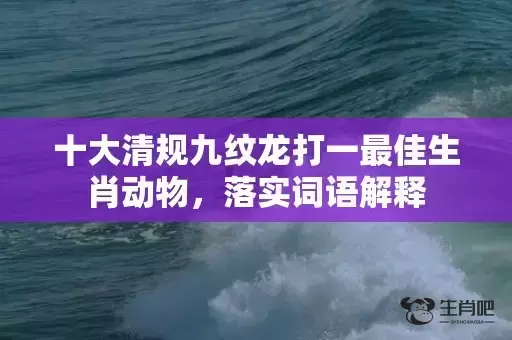 十大清规九纹龙打一最佳生肖动物，落实词语解释