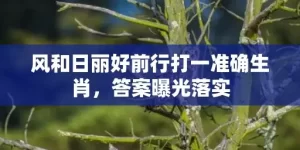 风和日丽好前行打一准确生肖，答案曝光落实