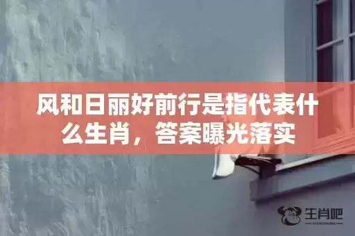 风和日丽好前行是指代表什么生肖，答案曝光落实