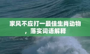 家风不应打一最佳生肖动物，落实词语解释