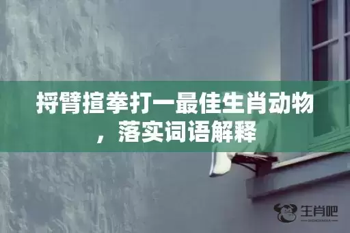 捋臂揎拳打一最佳生肖动物,落实词语解释 捋臂揎拳打一最佳生肖动物,落实词语解释