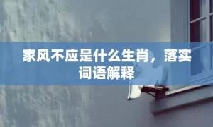 家风不应是什么生肖，落实词语解释