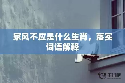 家风不应是什么生肖,落实词语解释 家风不应是什么生肖,落实词语解释