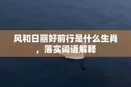 风和日丽好前行是什么生肖，落实词语解释
