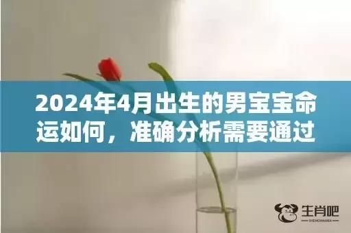 2024年4月出生的男宝宝命运如何，准确分析需要通过几个点