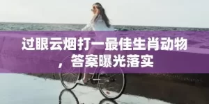 过眼云烟打一最佳生肖动物，答案曝光落实