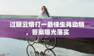 过眼云烟打一最佳生肖动物，答案曝光落实