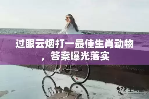 过眼云烟打一最佳生肖动物，答案曝光落实
