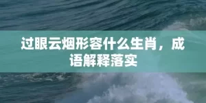 过眼云烟形容什么生肖，成语解释落实