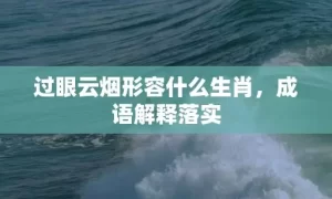 过眼云烟形容什么生肖，成语解释落实