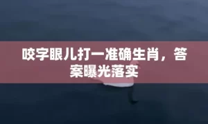 咬字眼儿打一准确生肖，答案曝光落实