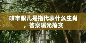 咬字眼儿是指代表什么生肖，答案曝光落实