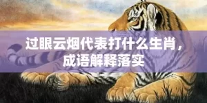 过眼云烟代表打什么生肖，成语解释落实