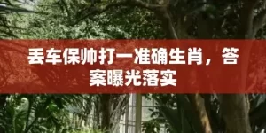 丢车保帅打一准确生肖，答案曝光落实