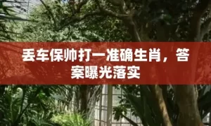 丢车保帅打一准确生肖，答案曝光落实