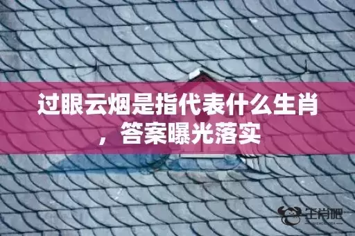 过眼云烟是指代表什么生肖，答案曝光落实