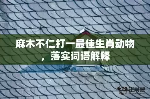 麻木不仁打一最佳生肖动物，落实词语解释