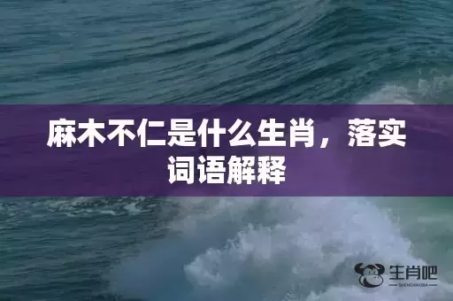 麻木不仁是什么生肖，落实词语解释