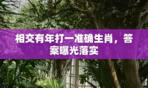 相交有年打一准确生肖，答案曝光落实