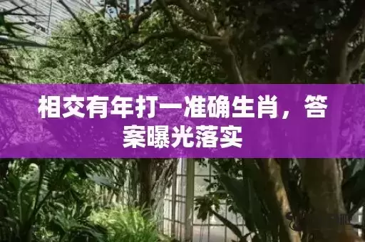 相交有年打一准确生肖，答案曝光落实