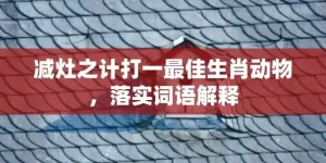 减灶之计打一最佳生肖动物，落实词语解释