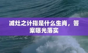 减灶之计指是什么生肖，答案曝光落实