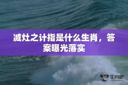 减灶之计指是什么生肖，答案曝光落实