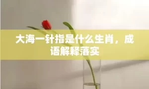 大海一针指是什么生肖，成语解释落实