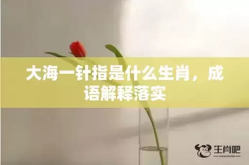 大海一针指是什么生肖,成语解释落实 大海一针指是什么生肖,成语解释落实
