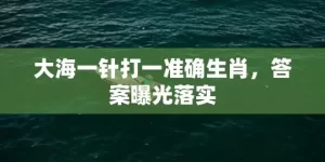 大海一针打一准确生肖，答案曝光落实