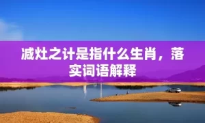 减灶之计是指什么生肖，落实词语解释