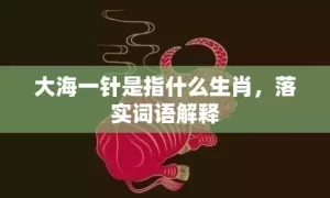 大海一针是指什么生肖，落实词语解释