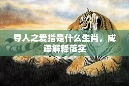 夺人之爱指是什么生肖,成语解释落实 夺人之爱指是什么生肖,成语解释落实