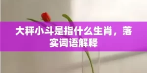 大秤小斗是指什么生肖，落实词语解释