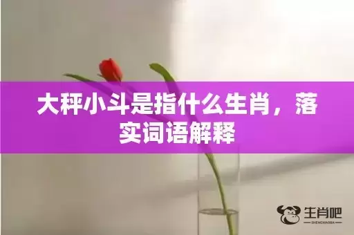 大秤小斗是指什么生肖,落实词语解释 大秤小斗是指什么生肖,落实词语解释