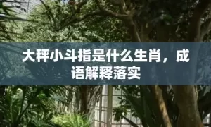 大秤小斗指是什么生肖，成语解释落实