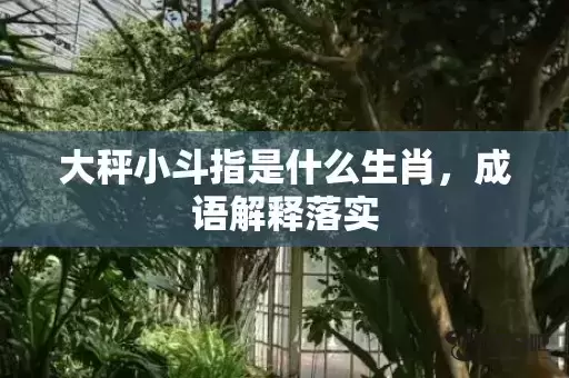 大秤小斗指是什么生肖,成语解释落实 大秤小斗指是什么生肖,成语解释落实