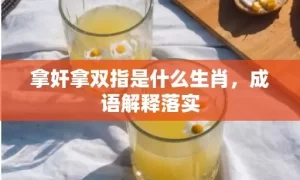 拿奸拿双指是什么生肖，成语解释落实