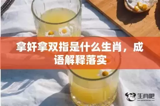 拿奸拿双指是什么生肖，成语解释落实