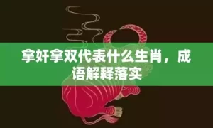 拿奸拿双代表什么生肖，成语解释落实