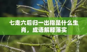 七走六后归一出指是什么生肖，成语解释落实