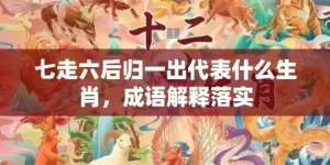 七走六后归一出代表什么生肖，成语解释落实