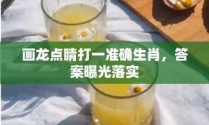 画龙点睛打一准确生肖，答案曝光落实