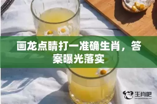 画龙点睛打一准确生肖，答案曝光落实